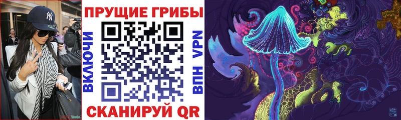 Псилоцибиновые грибы ЛСД  Высоковск 